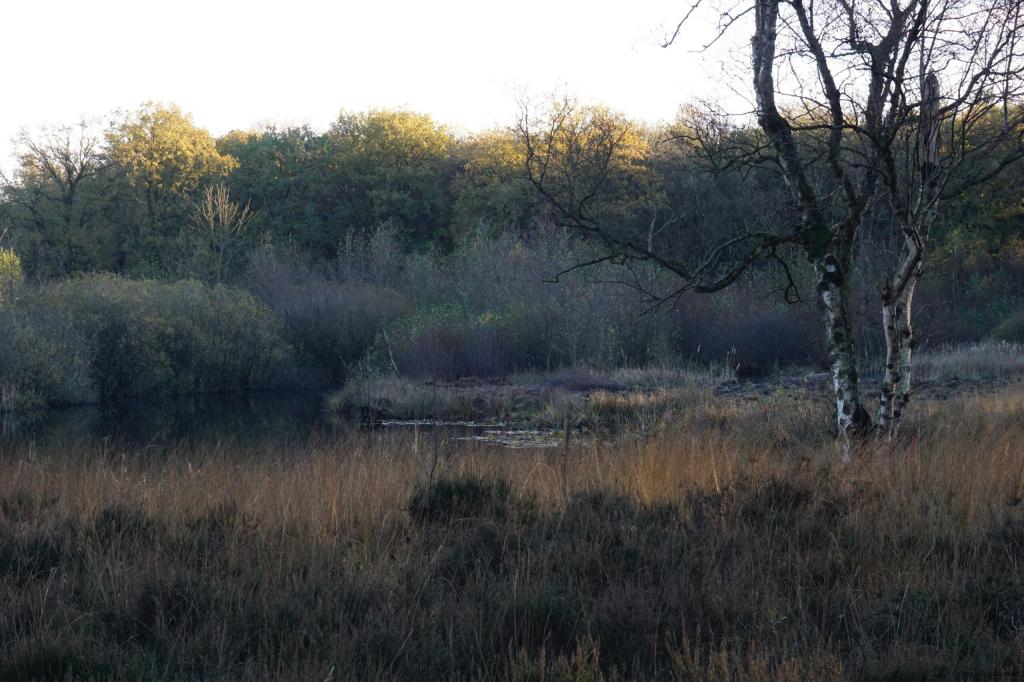 Traces of Glacial&nbsp;Past