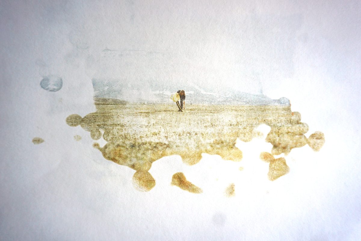 The Nature of&nbsp;Rain