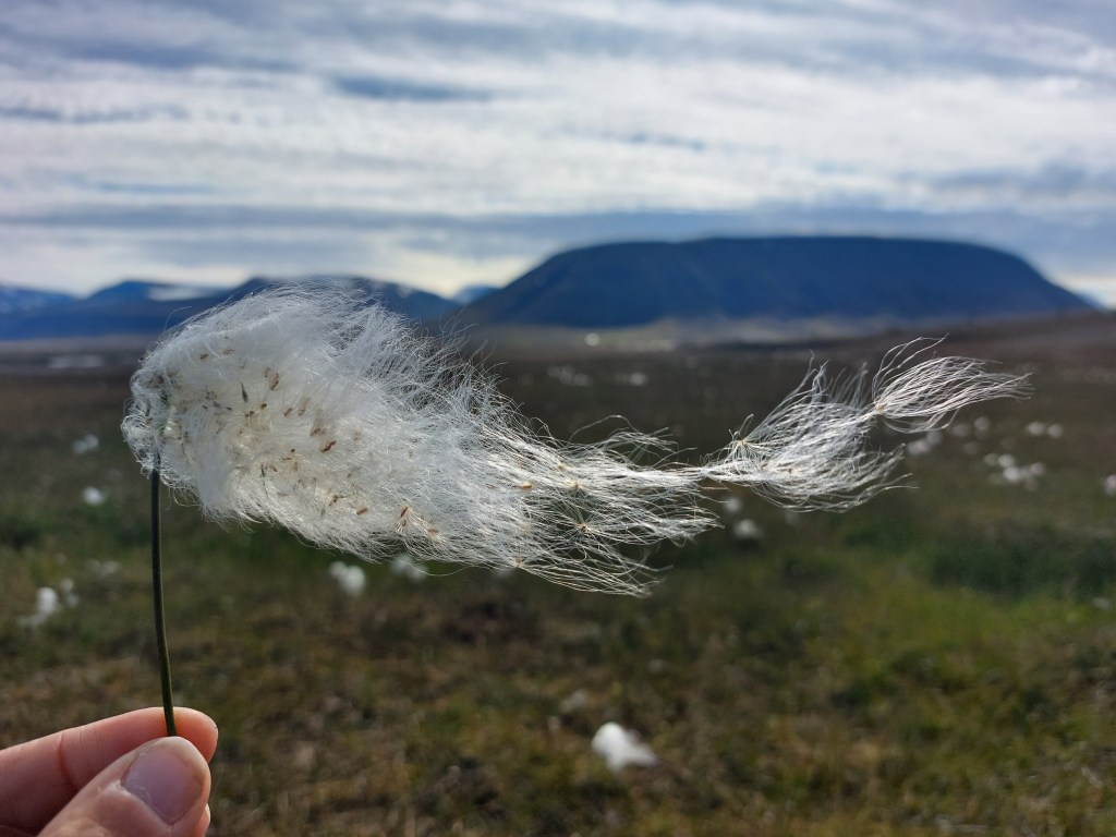 A Season on&nbsp;Svalbard