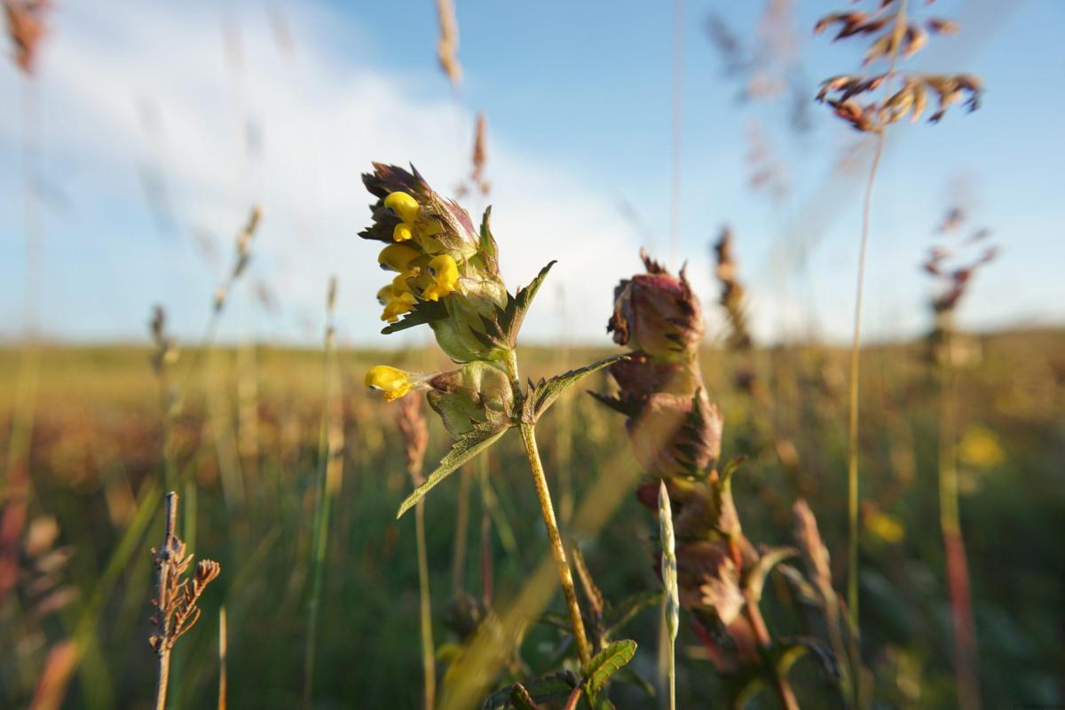 Sometimes life’s a&nbsp;beach