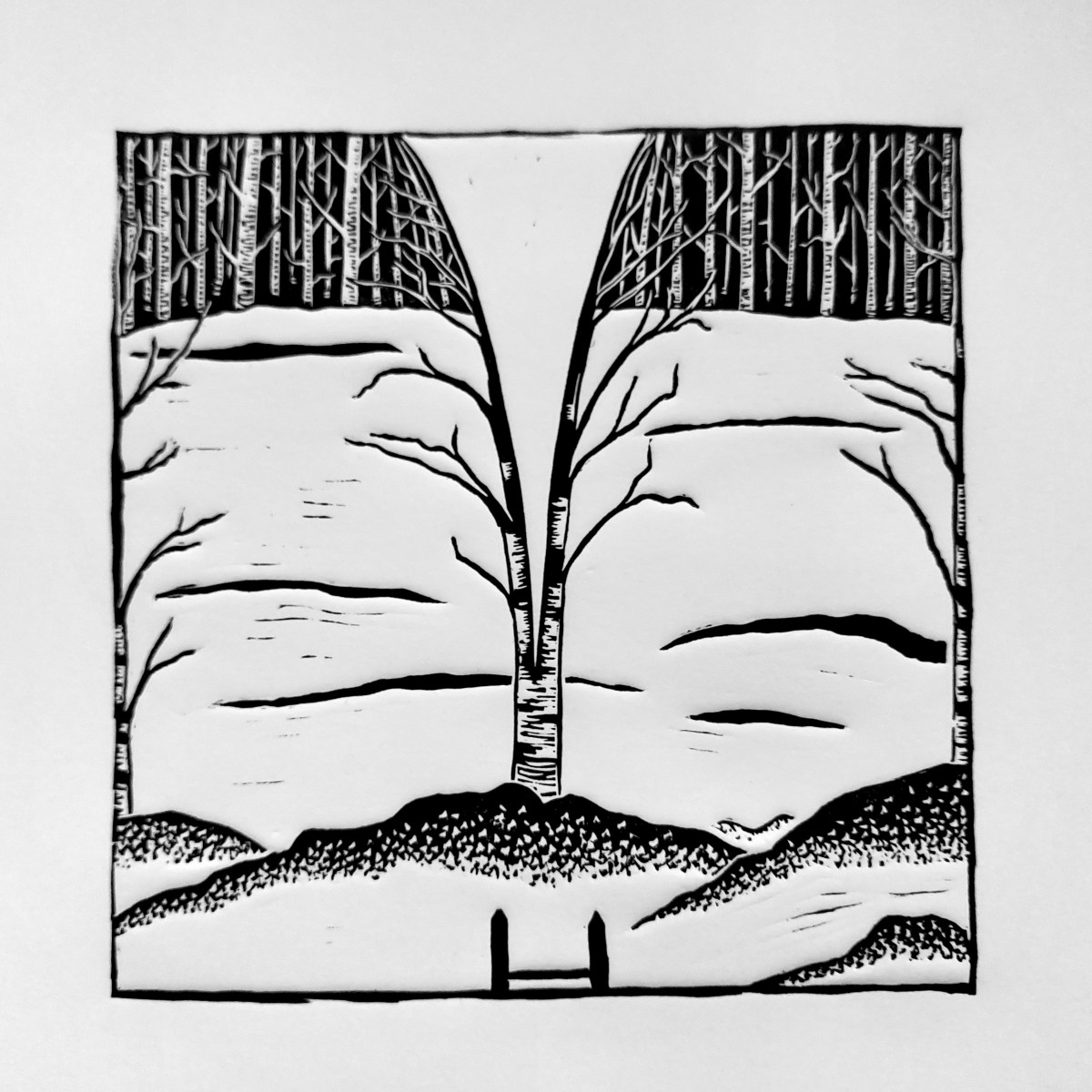 THE MYSTERIOUS INCIDENT WITH THE&nbsp;SLED